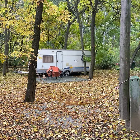 Tisza-beach Wild 5 Camping