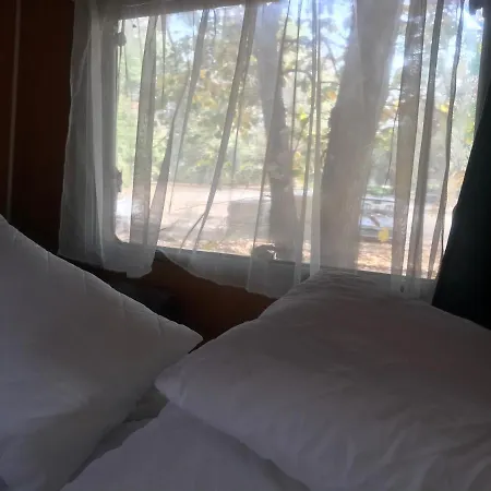 Camping Tisza-beach Wild 5