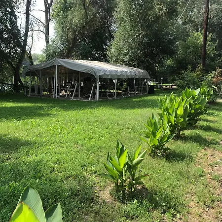 Tisza-beach Wild 5 *